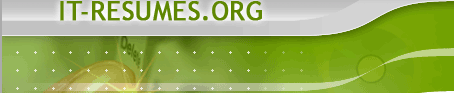 IT jobs - resume writing services for IT - information technology professionals